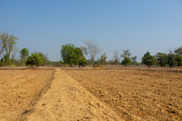 Field after harvest in Thailand