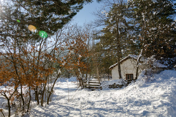 Winter landscape with a wooden hut