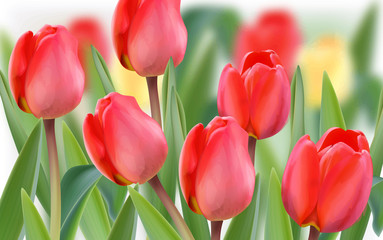 Spring tulip flowers field Vector realistic banner templates. Season backgrounds