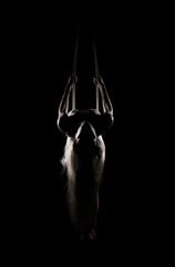 Beautiful slender blonde girl, wearing a white bodisuit and red stilettos, sensually hangs and dances on the ropes. Black background. Artistic noir silhouette photo