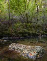 A limestone rock in the middle of a river at the end of summer