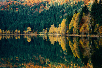 autumn scene lake reflexion