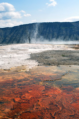 Gesire Yellowsone NP