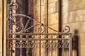Iron Ornate Door Detail