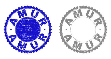 Grunge AMUR stamp seals isolated on a white background. Rosette seals with distress texture in blue and grey colors. Vector rubber imitation of AMUR caption inside round rosette.