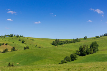 Mountain landscape, farmland, early spring, Pieniny, Poland