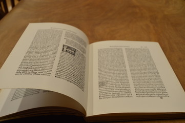 Obraz premium old book