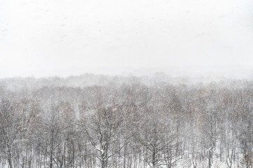 Fototapeta na wymiar above view of city park in snow blizzard in winter