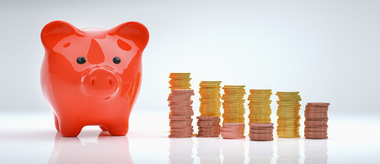 Piggy Bank save money investment