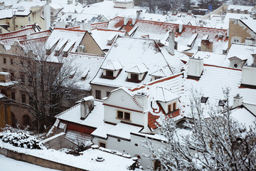 Roofs under snow