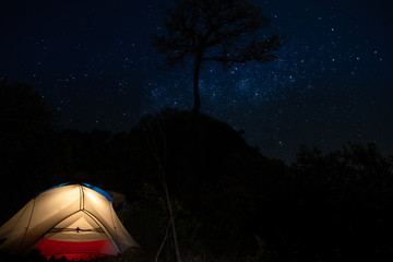 Illuminated yellow camping tent under stars at night sky in the mountain and tree