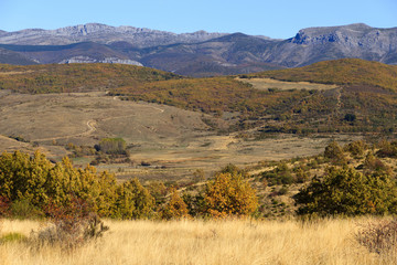 Vista  de Paisaje Otoñal con montañas al fondo