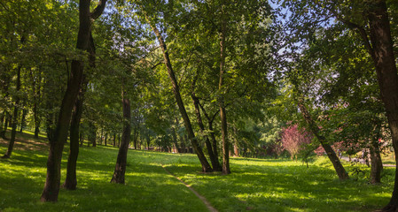 Fototapeta na wymiar Park Green Jar Wandy, Krakow, Poland