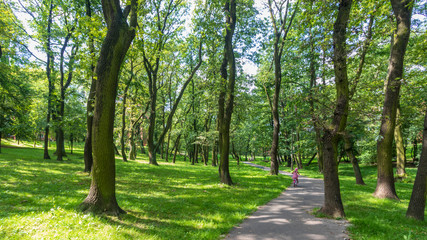 Obraz premium Park Green Jar Wandy, Krakow, Poland