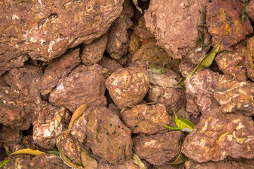 red volcanic porous stones lie in a heap of green and dry leaves. natural surface texture