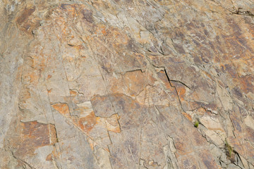 Texturas4