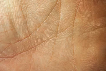 Aluminium Prints Macro photography Close up macro image of the skin surface texture of human hands palms