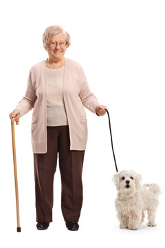 Elderly lady with a cane and a maltese poodle dog