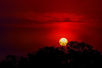 Beautiful bright evening sunshine with golden light nature background