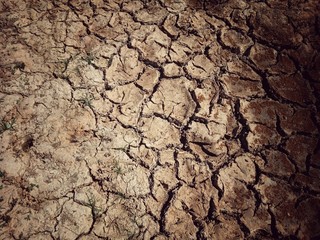 dry cracked earth