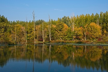 Water arm in Danubian wetland, Malinovo, Slovakia, Europe
