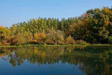 Fototapeta na wymiar Water arm in Danubian wetland, Malinovo, Slovakia, Europe