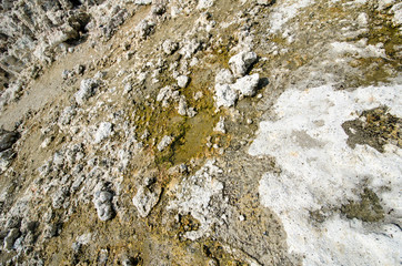 Tufa tower formations at Mono Lake in California's eastern Sierra, located off of US-395
