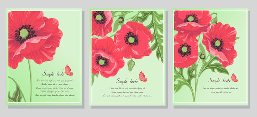 Postcards with red poppy flowers and a butterfly on a green background. Set of templates for invitation cards, wedding, banners, sales, brochure cover design-Vector