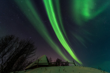 luci del nord, aurora boreale in norvegia