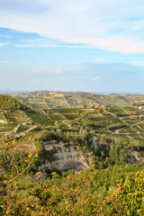 Fototapeta na wymiar Panoramic view of vineyard hills and valleys in springtime, Langhe, Piedmont, Italy