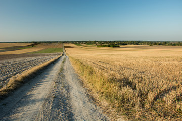 Fototapeta na wymiar A very long dirt road through cut and plowed fields, horizon and sky