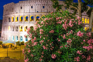 Obraz premium luxurious bush of flowers on the background of the night coliseum