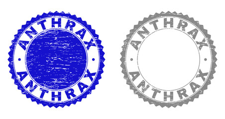 Grunge ANTHRAX stamp seals isolated on a white background. Rosette seals with grunge texture in blue and grey colors. Vector rubber imprint of ANTHRAX text inside round rosette.