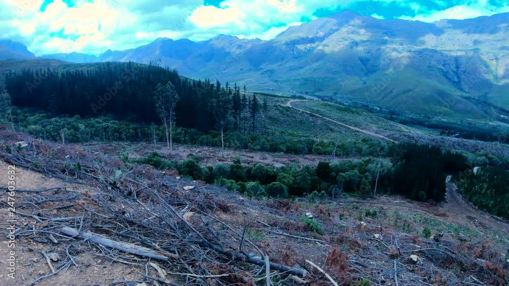 Poster a sad example of the devastating effect of deforestation on our beautiful planet.