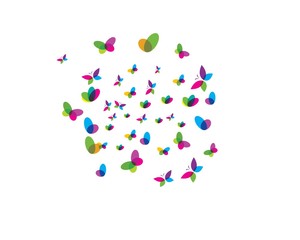 butterfly logo vector template
