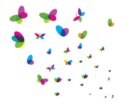 butterfly logo vector template