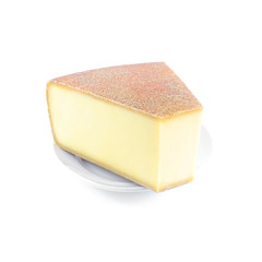 piece of cheese on white plate on white background