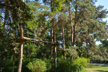 Fototapeta premium rope park in the forest