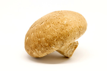 Fresh Shiitake mushroom isolated on white background.
