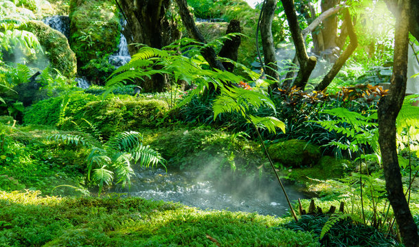 Garden decorated to mimic the tropical rain forest with little river and moss.