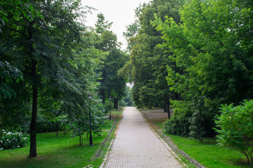park; alley; tree; green; path; summer; road; nature; trees; beautiful; grass; forest