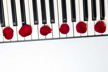 Piano keys with red rose flower petals, isolated, top view, copy space. Romantic concept. Piano or...