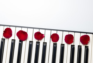 Piano keys with red rose flower petals, isolated, top view, copy space. Romantic concept. Piano or...