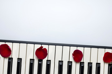 Piano keys with red rose flower petals, isolated, top view, copy space. Romantic concept. Piano or...