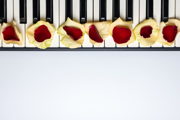 Piano keys with red and white rose flower petals, isolated, top view, copy space. Romantic concept....