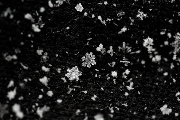 unique snowflake macro