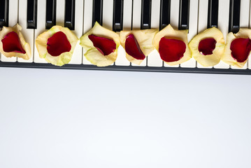 Piano keys with red and white rose flower petals, isolated, top view, copy space. Romantic concept....