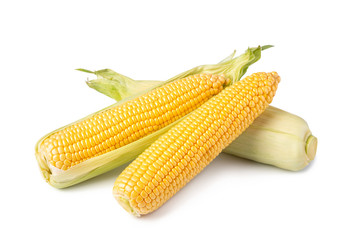 cob corn