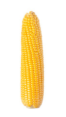 cob corn