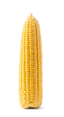 cob corn